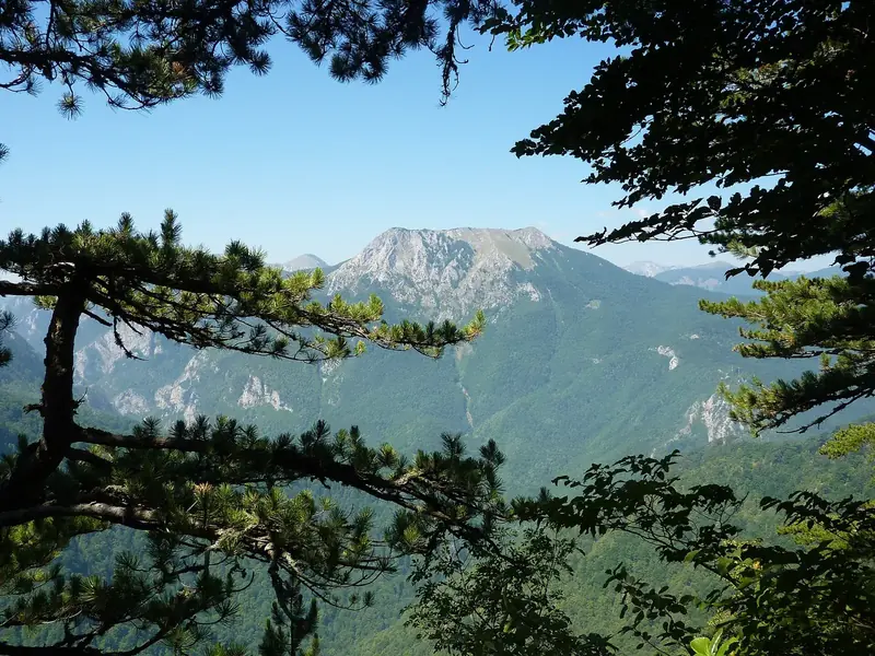 Bosna-Hersek'te şehirler arası mesafeler